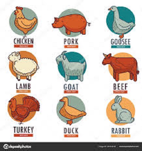White meat is just as bad for you as red beef when it comes to your cholesterol level - Mysagegourmet White meat is just as bad for you as red beef when it comes to your cholesterol level - Mysagegourmet